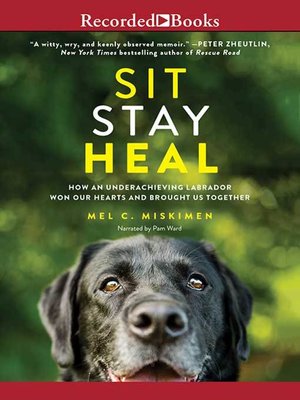 cover image of Sit Stay Heal